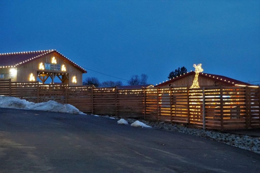 arriving at jungle bells parking lot you see a 15 foot tall lighted giraffe greeting guests