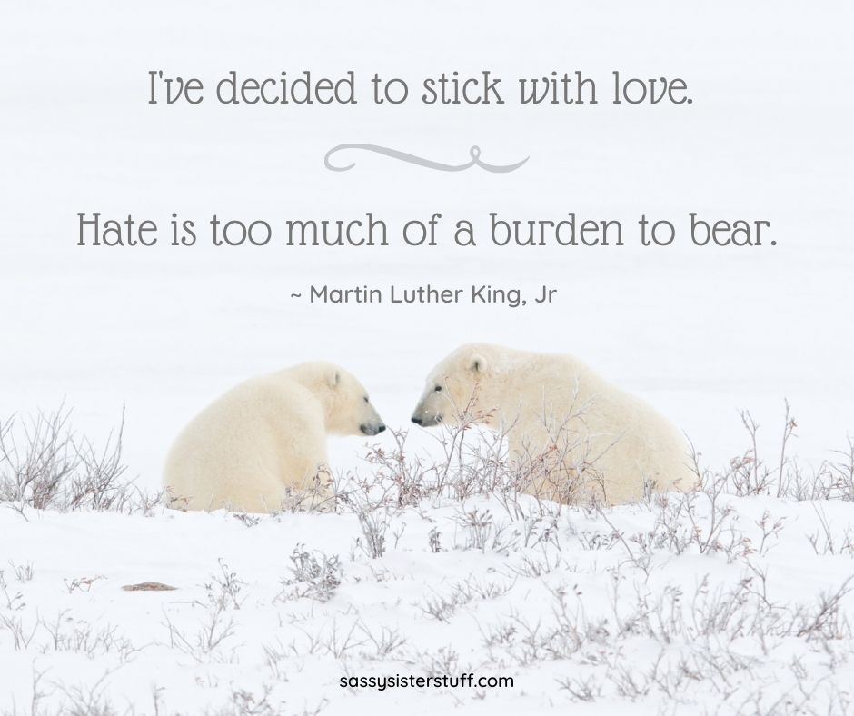 two polar bears on ice sharing love with a quote about deciding to love instead of hate