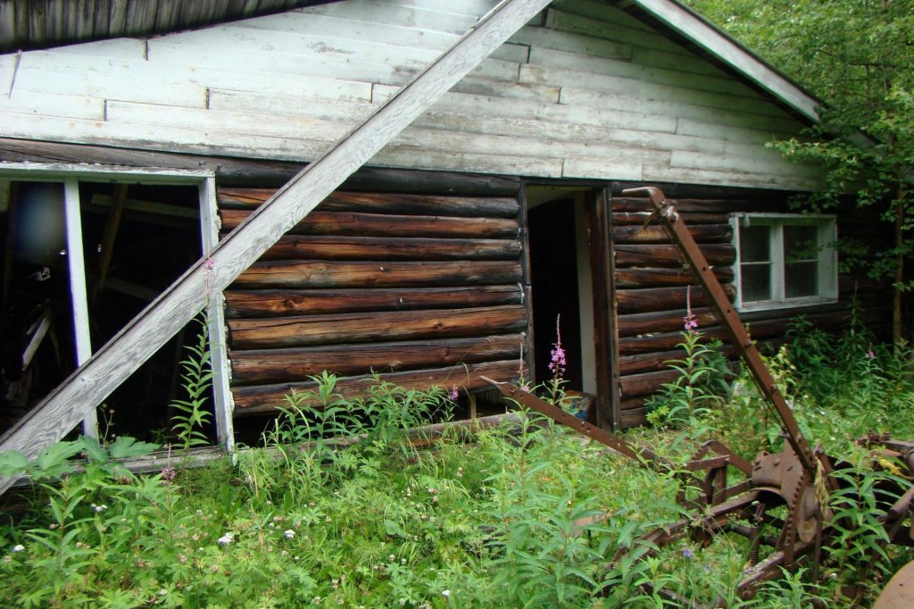 historic homestead log cabin in alaska surrounded by trees and greenery