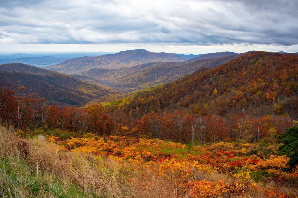 Shenandoah mountains in the fall beautiful colors