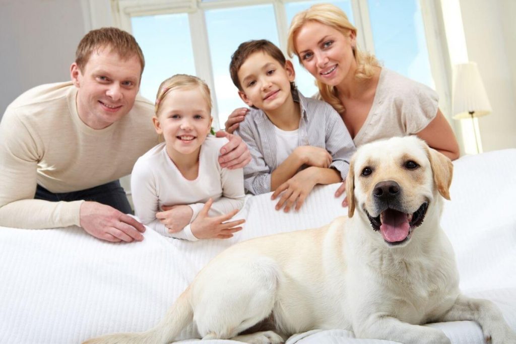 family of four sitting on a sofa with their white dog