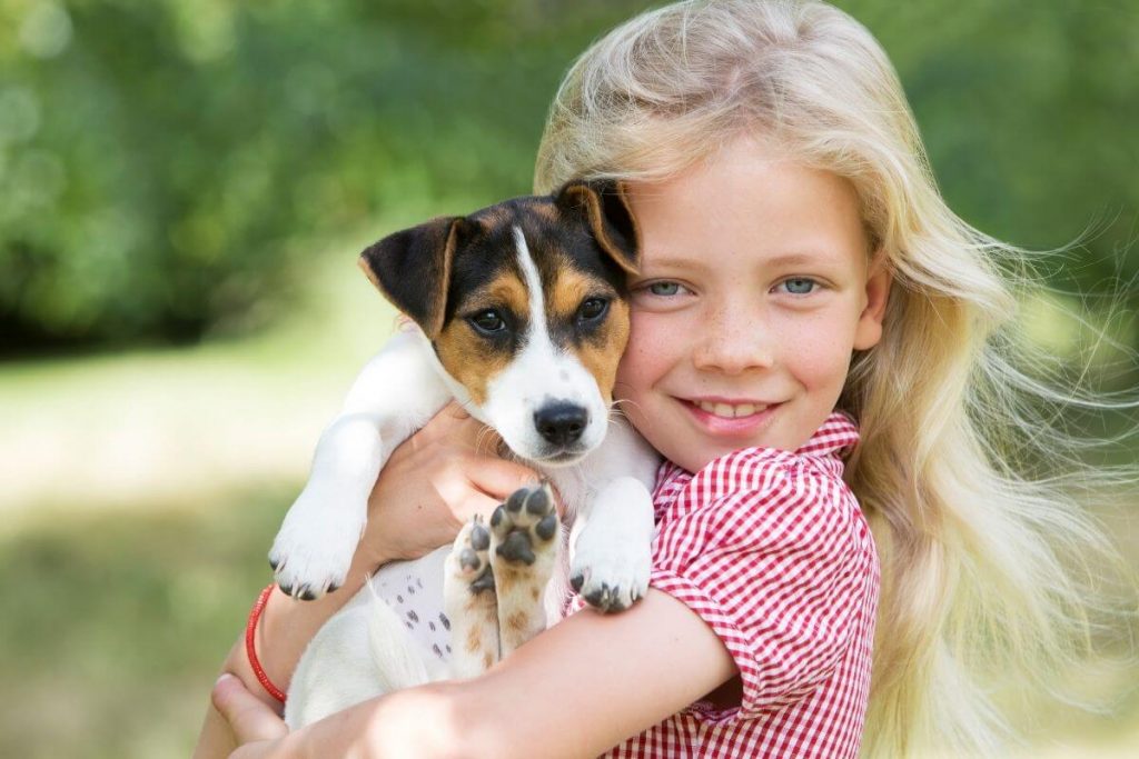 little girl with blonde hair loves a small beagle puppy