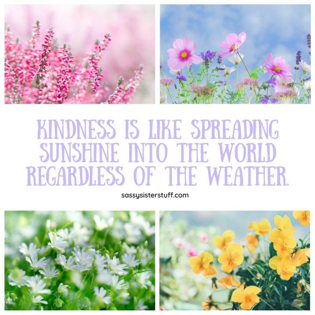 four photos of wild flowers with a kindness quote about sunshine