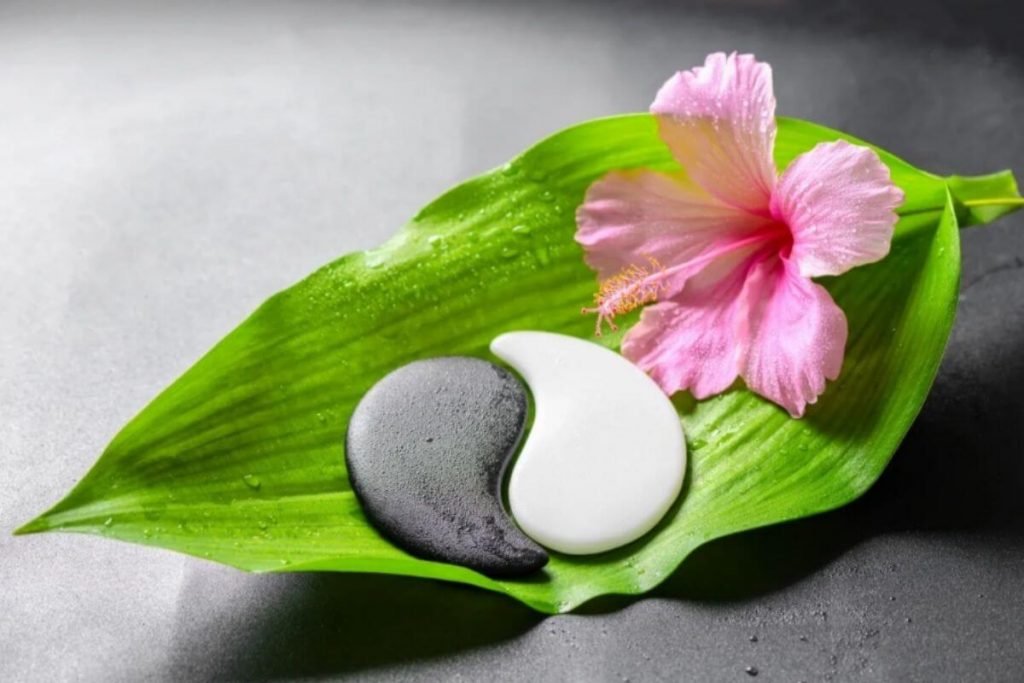 green leaf and pink flower with ying and yang rocks representing a healthy balance