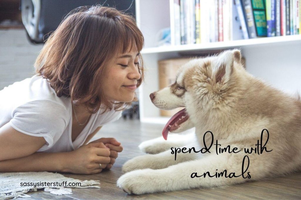 spending time with animals is a great act of self care