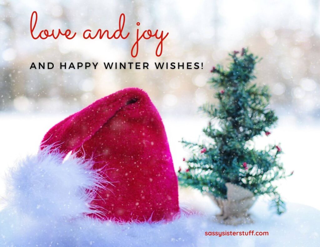 santa hat and a tiny tree sitting on the ground in the show with warm holiday wishes