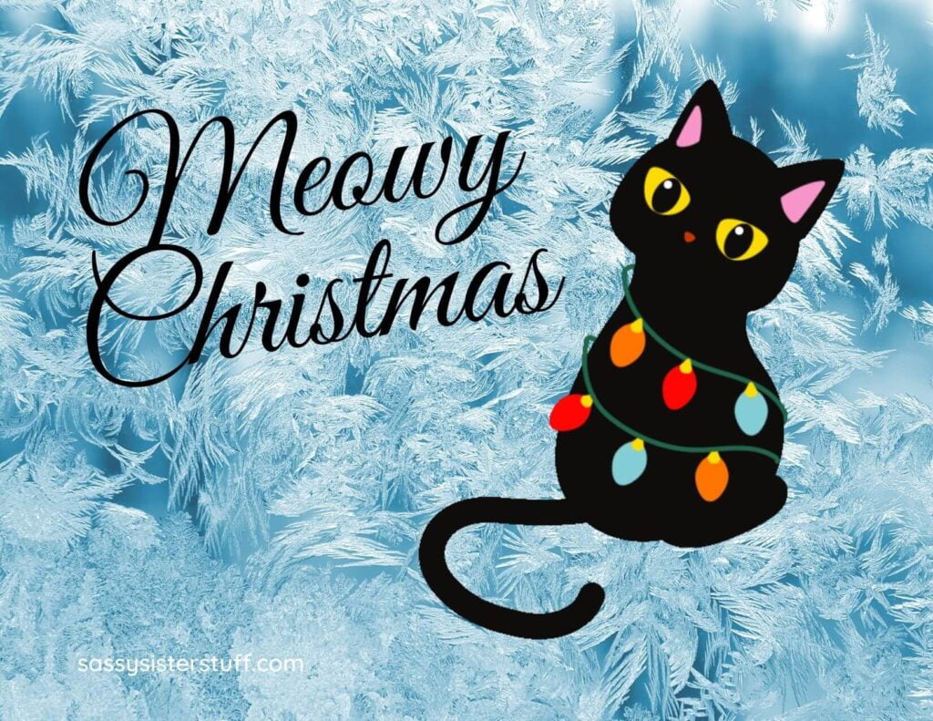 black cat wrapped in christmas lights on a blue icy background and a meowy christmas wish