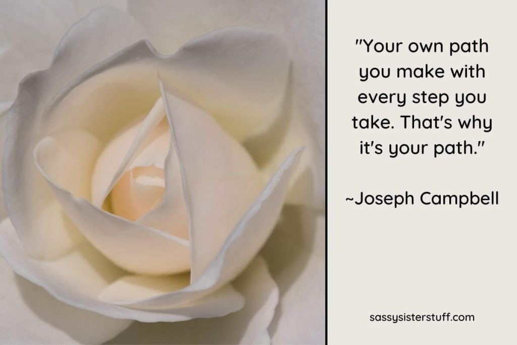 a beautiful white rose and a find your path quote to inspire you on your journey through life