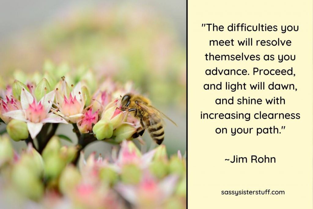 a yellow jacket gets pollen out of pink flowers and a quote about lifes paths