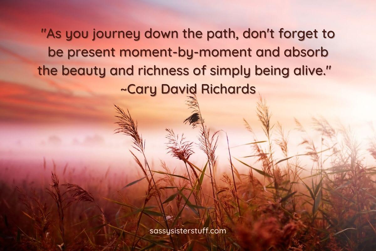 29 Find Your Path Quotes: Amazing Inspiration for Your Journey Through ...