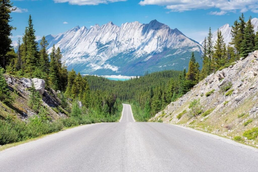 highway in the mountains leading toward a snow covered peak with tall aspens on the side of the road and a beautiful blue sky in the background