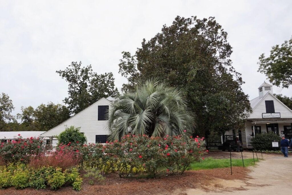 gardens and the hospitality cabin at boone hall plantation in charleston sc