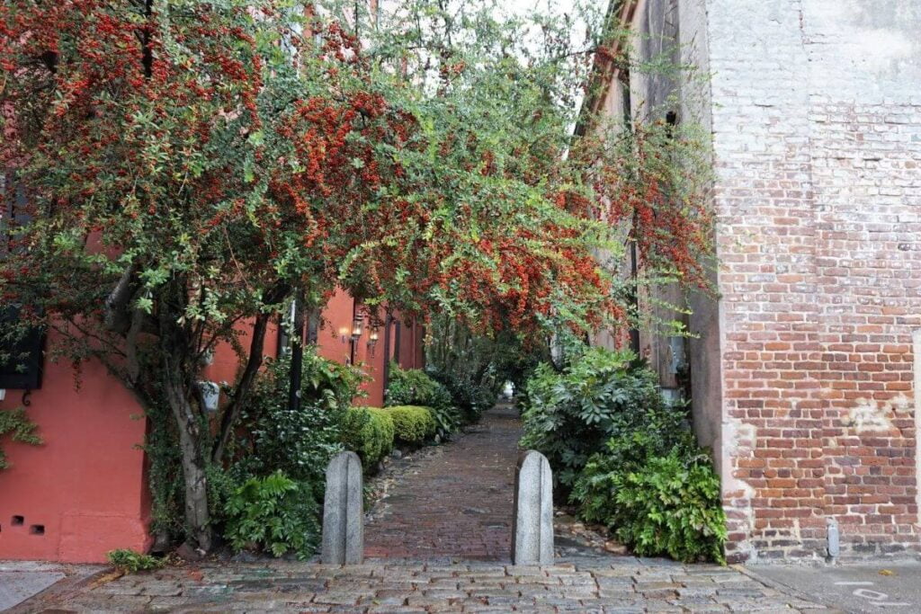 Philadelphia Alley on a weekend in charleston sc