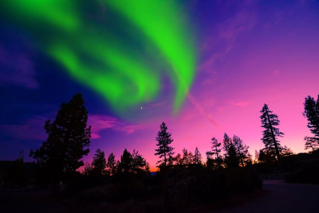 pink purple green and blue Northern Lights over the darkness of tall trees along a ridge in Alaska one of the greatest adventurous bucket list vacations in america