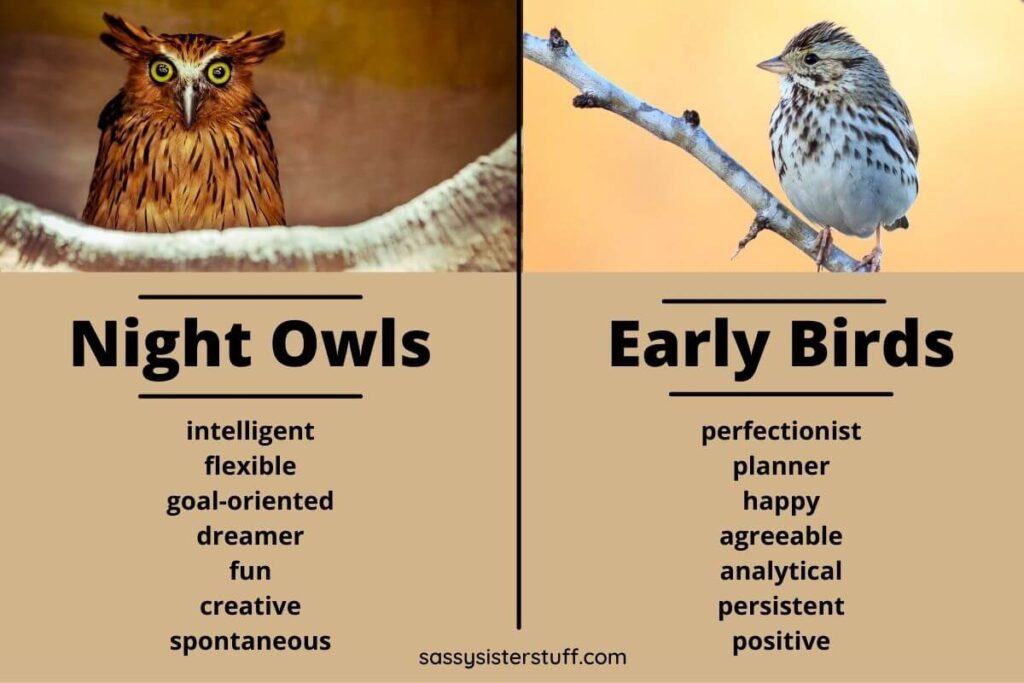 a comparison chart with an owl and a lark and characteristics of each