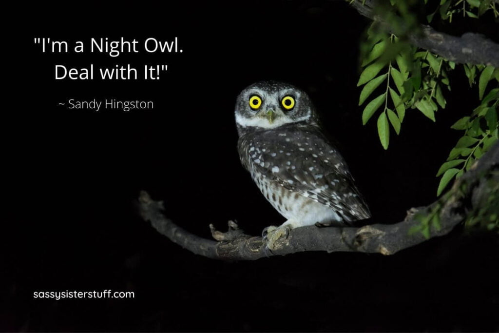 21 Reasons Why It's Perfectly Okay to be a Night Owl Sassy Sister Stuff