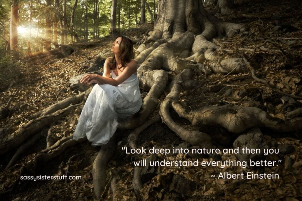 a woman sits in the forest on large tree roots plus a quote about grounding