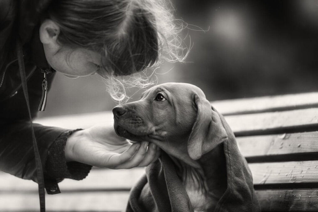 a young woman bends over and pets a sad looking dog because she is kind and compassionate