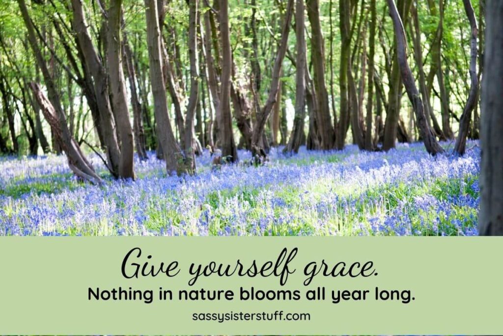 a meadow of lavender flowers and trees forms a background for a spiritual self care quote