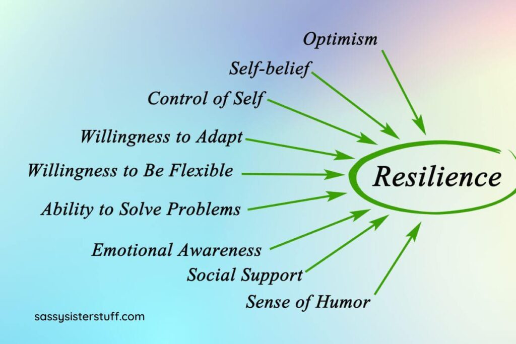 a graphic organizer in a web format defines 9 characteristics of resilience