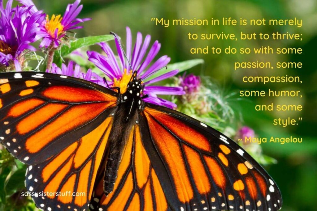 "My mission in life is not merely to survive, but to thrive; and to do so with some passion, some compassion, some humor, and some style." Maya Angelou