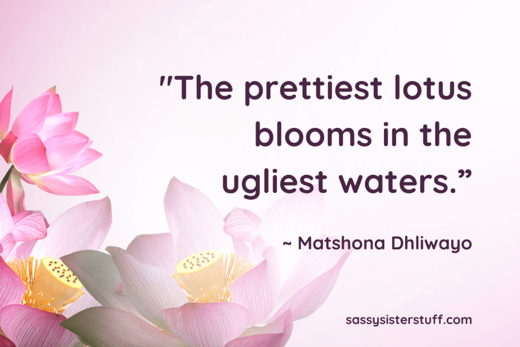 "The prettiest lotus blooms in the ugliest waters.”~ Matshona Dhliwayo