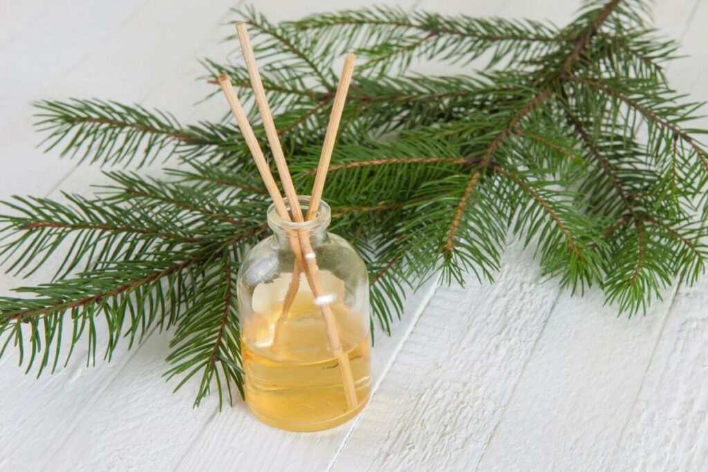 aroma reeds in a woodsy oil blend sitting next to a branch from an evergreen tree