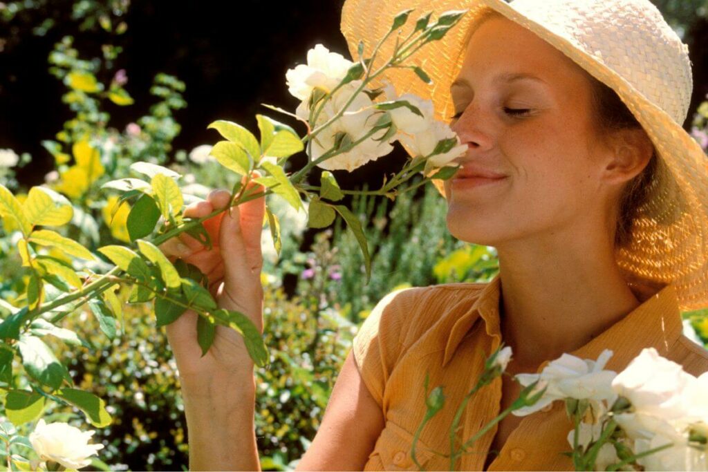 Middle aged woman with a straw hat on smiles as she smells a rose bush and explores scents to boost your confidence