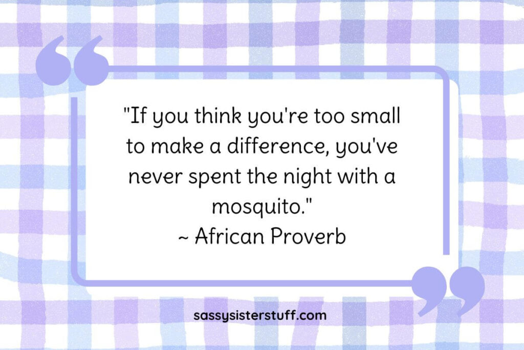 "If you think you're too small to make a difference, you've never spent the night with a mosquito." ~ African Proverb