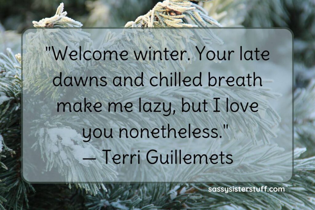 Welcome winter. Your late dawns and chilled breath make me lazy, but I love you nonetheless. - Terri Guillemets