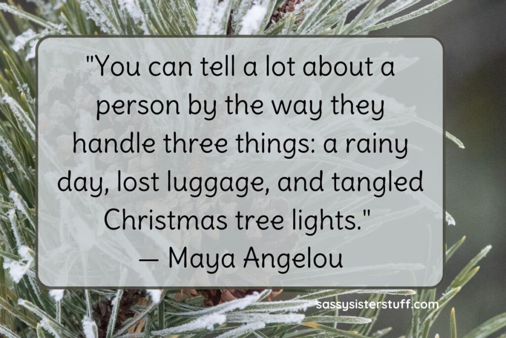 You can tell a lot about a person by the way they handle three things: a rainy day, lost luggage, and tangled Christmas tree lights. - Maya Angelou