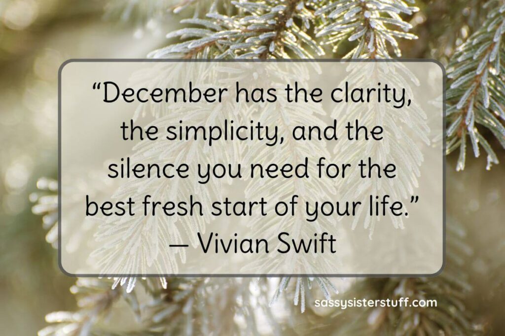 December has the clarity, the simplicity, and the silence you need for the best fresh start of your life. - Vivian Swift