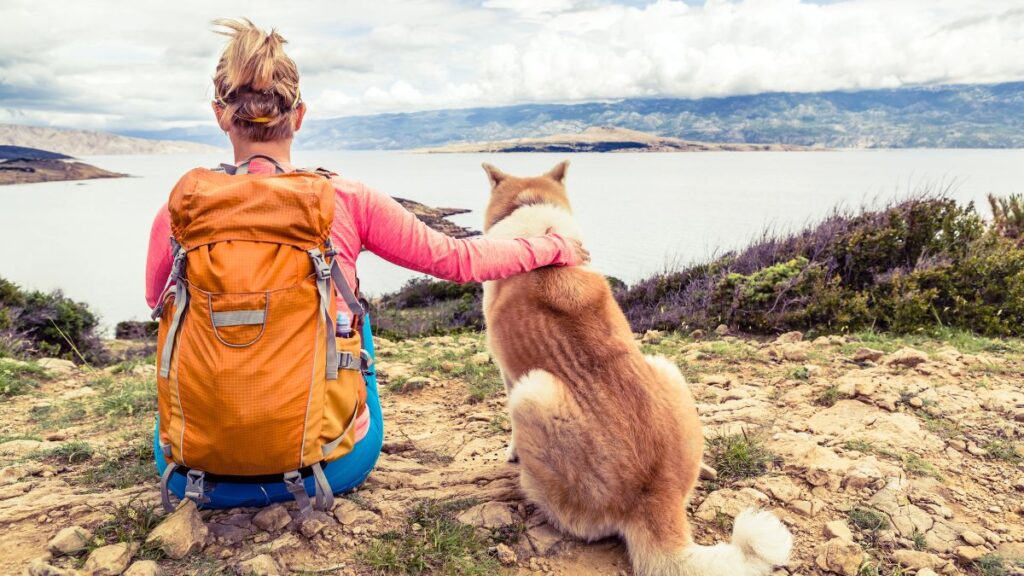 backpack with dog 