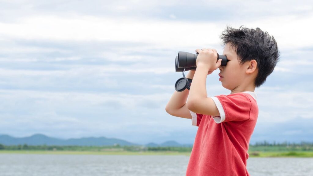 boy bird watching on beach