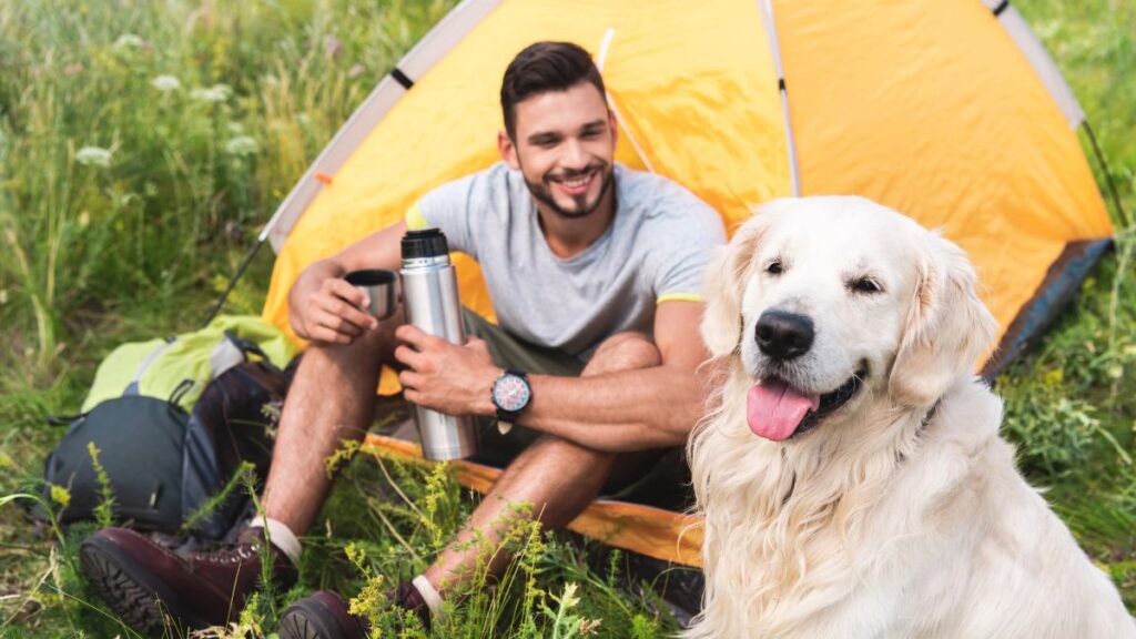 camping with dog