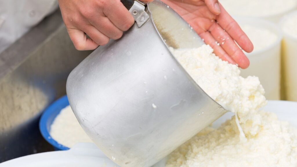 cheese making