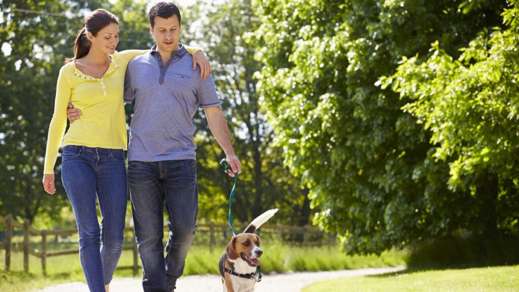 couple walking dog in park