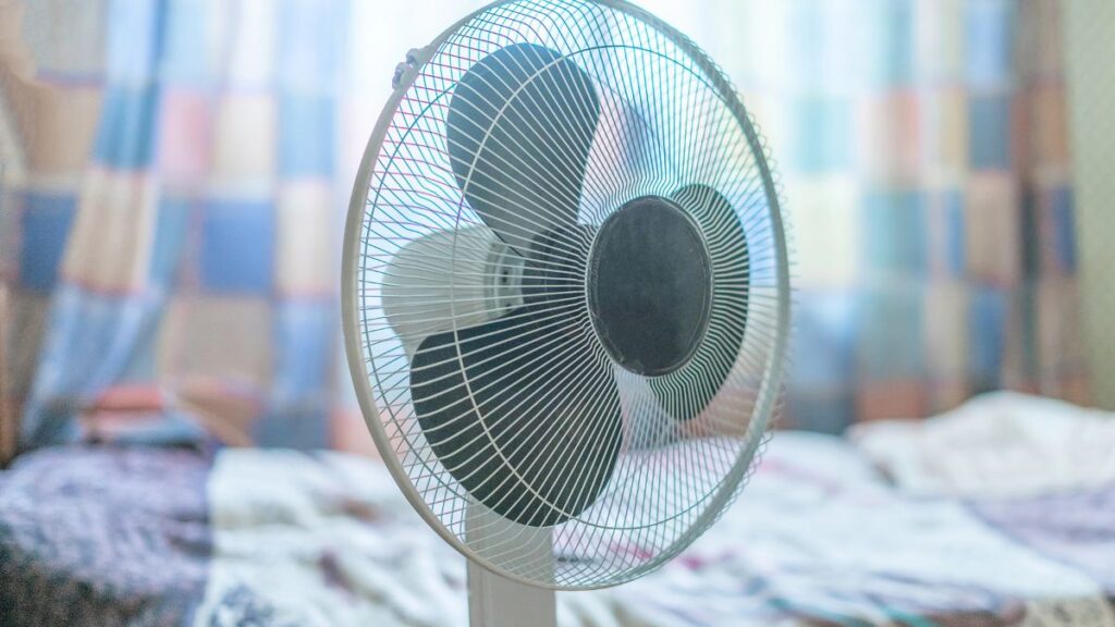 fan