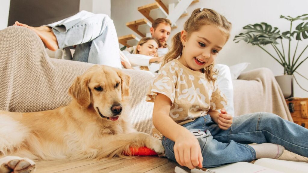 girl sitting with dog parents on couch