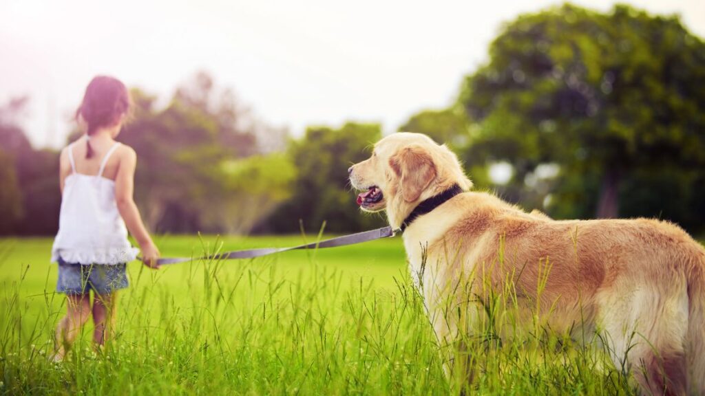 girl walking dog in field