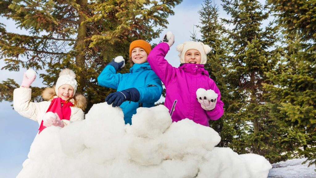 kids playing in the snow