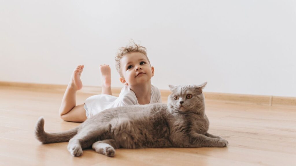 little boy with cat