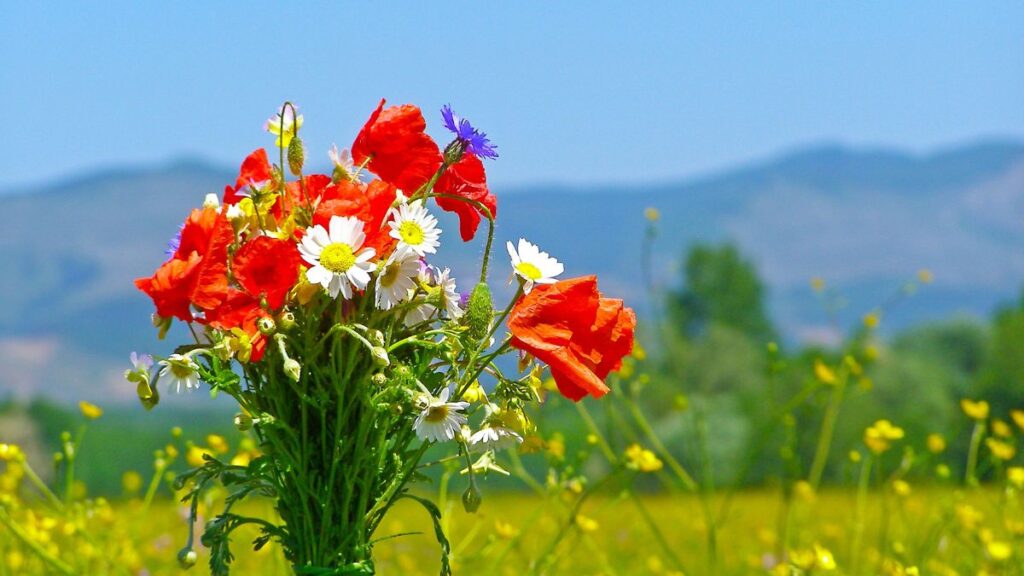 Wildflower Bouquet