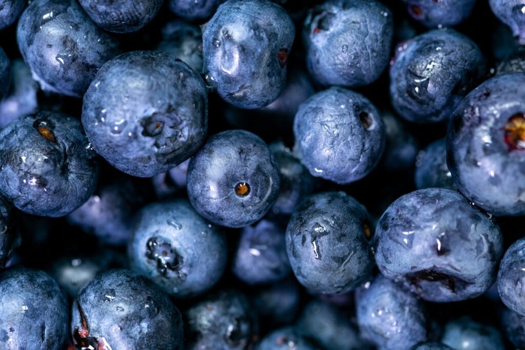 Close-Up Photo of Blueberries
